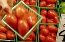 RISK FACTOR IN FOOD