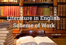 Literature scheme of workk