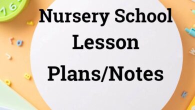 Nursery Lesson Plan Note Edudelight